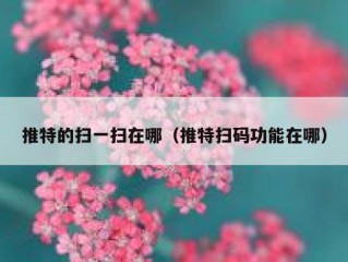 推特的扫一扫在哪（推特扫码功能在哪）