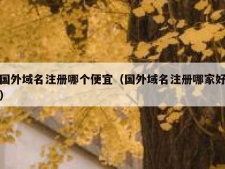 国外域名注册哪个便宜（国外域名注册哪家好）