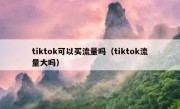 tiktok可以买流量吗（tiktok流量大吗）
