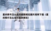 重庆限号怎么处罚最新规定图片视频下载（重庆限行怎么处罚最新规定）
