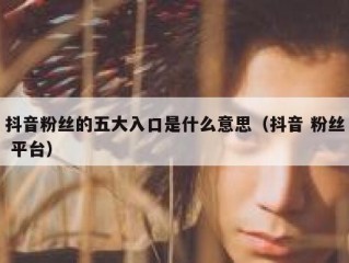 抖音粉丝的五大入口是什么意思（抖音 粉丝 平台）
