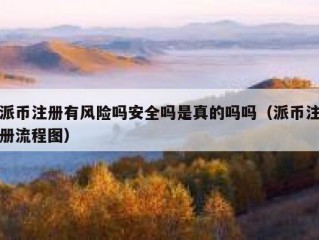 派币注册有风险吗安全吗是真的吗吗（派币注册流程图）