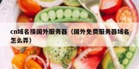 cn域名接国外服务器（国外免费服务器域名怎么弄）
