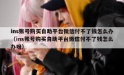 ins账号购买自助平台微信付不了钱怎么办（ins账号购买自助平台微信付不了钱怎么办呀）