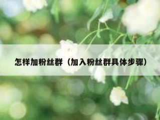 怎样加粉丝群（加入粉丝群具体步骤）