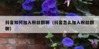 抖音如何加入粉丝群聊（抖音怎么加入粉丝群聊）