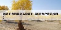 派币的密码是怎么设置的（派币账户密码找回）