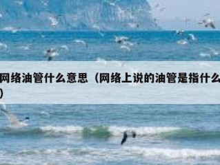 网络油管什么意思（网络上说的油管是指什么）