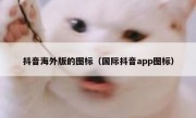 抖音海外版的图标（国际抖音app图标）