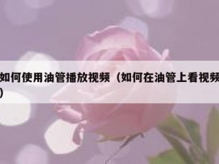 如何使用油管播放视频（如何在油管上看视频）