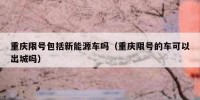 重庆限号包括新能源车吗（重庆限号的车可以出城吗）