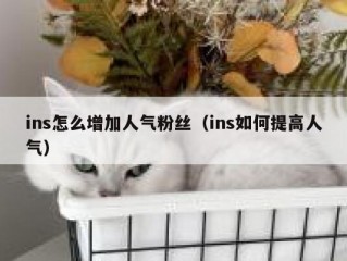 ins怎么增加人气粉丝（ins如何提高人气）