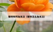 推特如何加关注（推特怎么加关注）