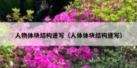 人物体块结构速写（人体体块结构速写）