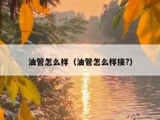 油管怎么样（油管怎么样接?）