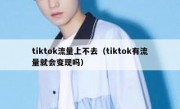 tiktok流量上不去（tiktok有流量就会变现吗）