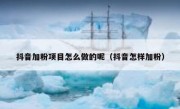 抖音加粉项目怎么做的呢（抖音怎样加粉）