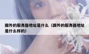 国外的服务器地址是什么（国外的服务器地址是什么样的）