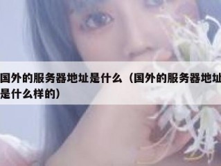 国外的服务器地址是什么（国外的服务器地址是什么样的）