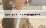 抖音37万点赞（抖音37万赞是挣钱的吗）