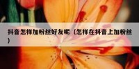 抖音怎样加粉丝好友呢（怎样在抖音上加粉丝）