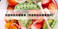 抖音粉丝从哪里来（抖音粉丝从哪里来的）