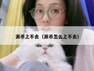 派币上不去（派币怎么上不去）