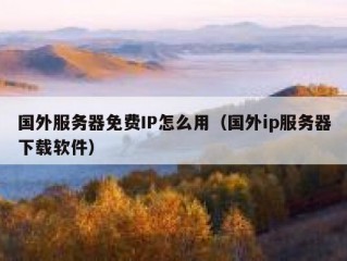 国外服务器免费IP怎么用（国外ip服务器下载软件）