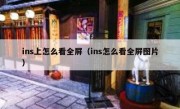 ins上怎么看全屏（ins怎么看全屏图片）