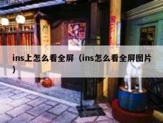 ins上怎么看全屏（ins怎么看全屏图片）