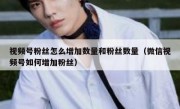 视频号粉丝怎么增加数量和粉丝数量（微信视频号如何增加粉丝）