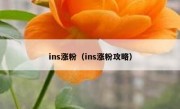 ins涨粉（ins涨粉攻略）