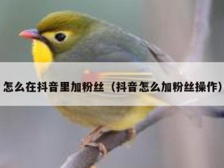 怎么在抖音里加粉丝（抖音怎么加粉丝操作）