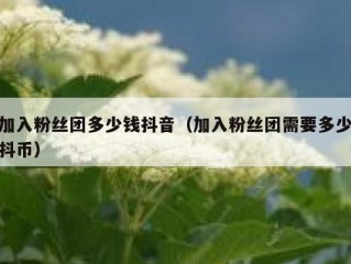 加入粉丝团多少钱抖音（加入粉丝团需要多少抖币）