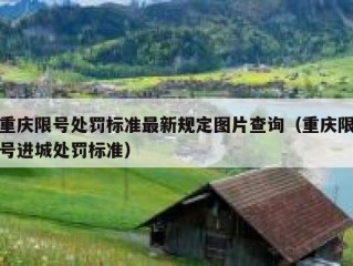 重庆限号处罚标准最新规定图片查询（重庆限号进城处罚标准）
