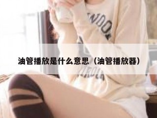 油管播放是什么意思（油管播放器）