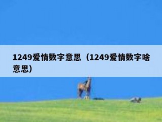 1249爱情数字意思（1249爱情数字啥意思）