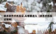 派币软件手机验证,从哪里进入（派币手机验证视频）