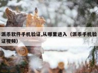 派币软件手机验证,从哪里进入（派币手机验证视频）