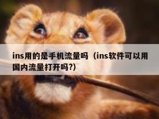 ins用的是手机流量吗（ins软件可以用国内流量打开吗?）