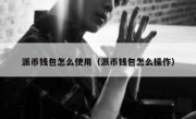 派币钱包怎么使用（派币钱包怎么操作）