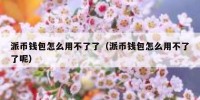 派币钱包怎么用不了了（派币钱包怎么用不了了呢）