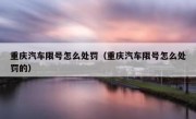 重庆汽车限号怎么处罚（重庆汽车限号怎么处罚的）