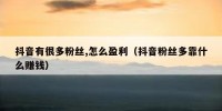 抖音有很多粉丝,怎么盈利（抖音粉丝多靠什么赚钱）
