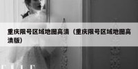 重庆限号区域地图高清（重庆限号区域地图高清版）