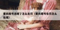重庆限号违规了怎么处罚（重庆限号处罚怎么处理）