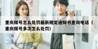 重庆限号怎么处罚最新规定通知书查询电话（重庆限号多次怎么处罚）