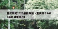 重庆限号2026最新政策（重庆限号2026最新政策图片）
