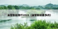 油管粉丝排行2021（油管粉丝最多的）