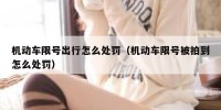 机动车限号出行怎么处罚（机动车限号被拍到怎么处罚）